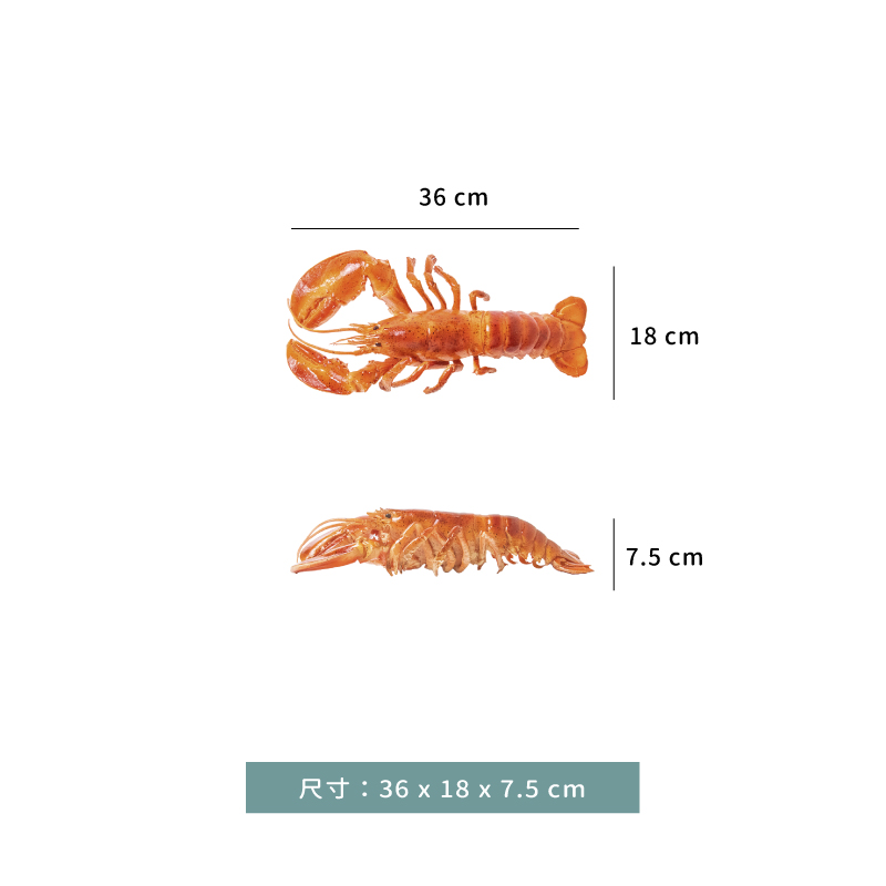 模型 ☆ 擬真 龍蝦 裝飾 ｜36 × 18 × 7.5 ㎝｜單個
