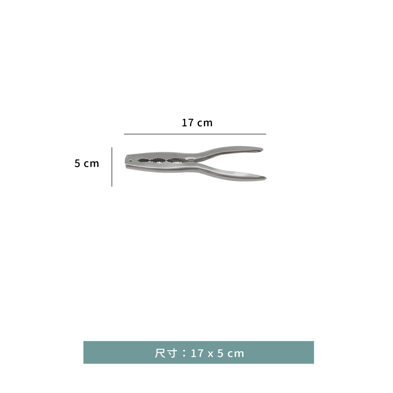 蟹鉗 ☆ 日製不銹鋼 蟹夾 / 核桃夾｜單個