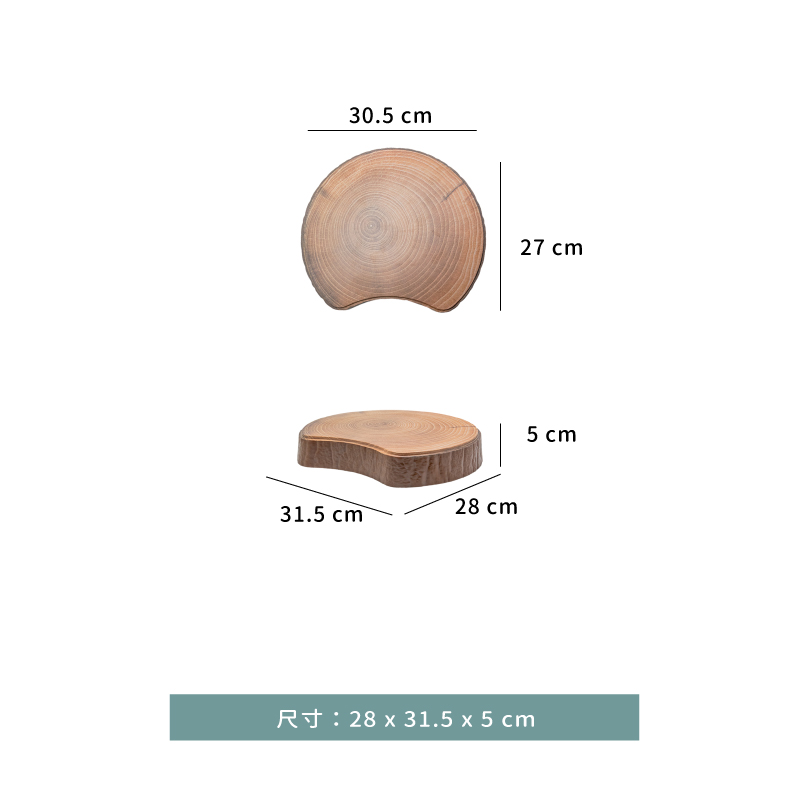陳列台 ☆ 森林 年輪樹幹陳列台｜28 × 31.5 × 5 ㎝｜單個
